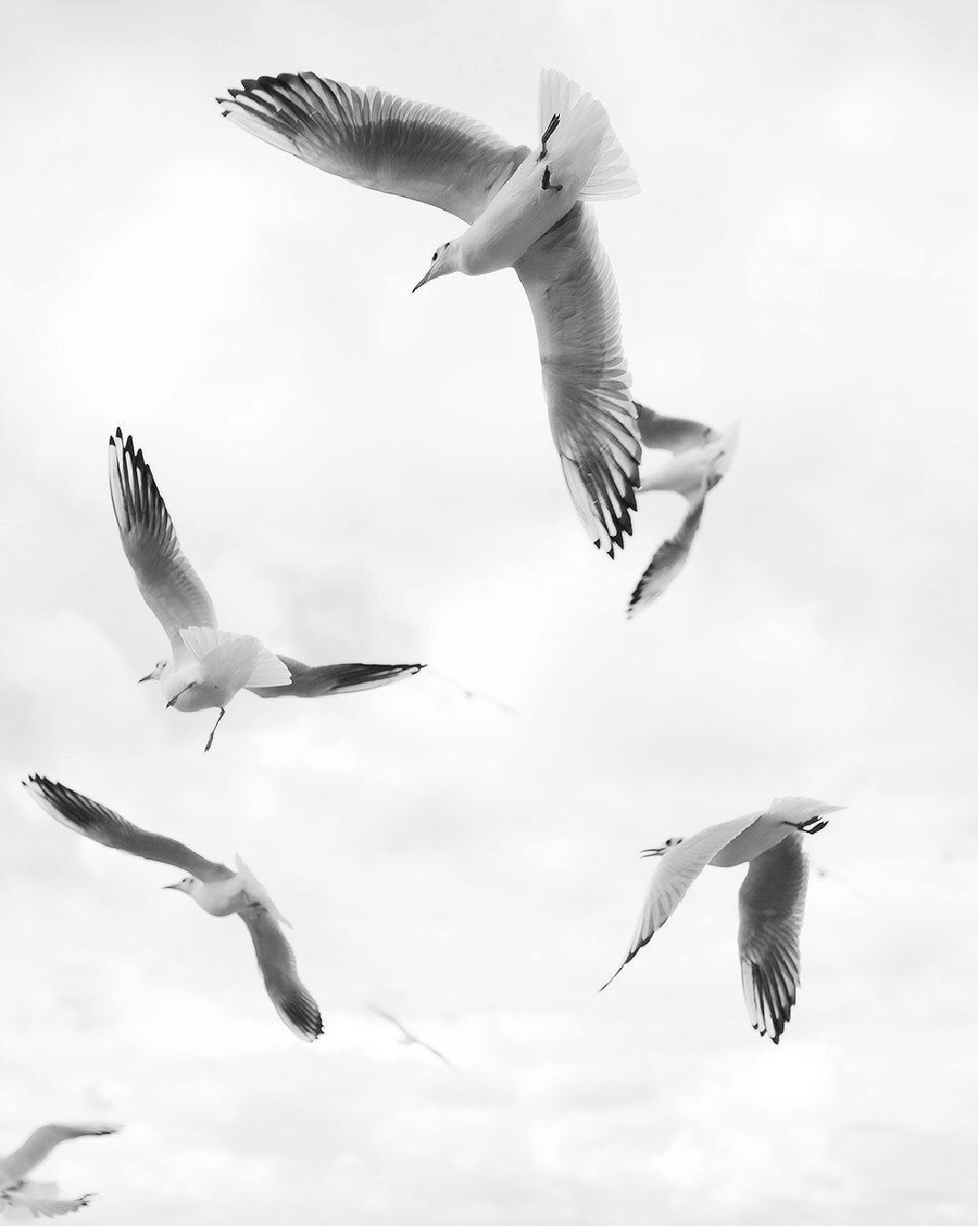 Ispirazioni dal web ❤️
#inspirations #seaphotography #sealover